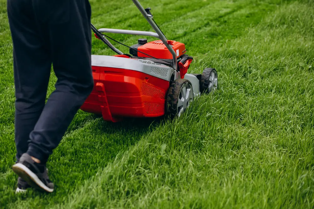 Dlaczego warto kupić kosiarkę spalinową? Dlaczego warto kupić kosiarkę spalinową